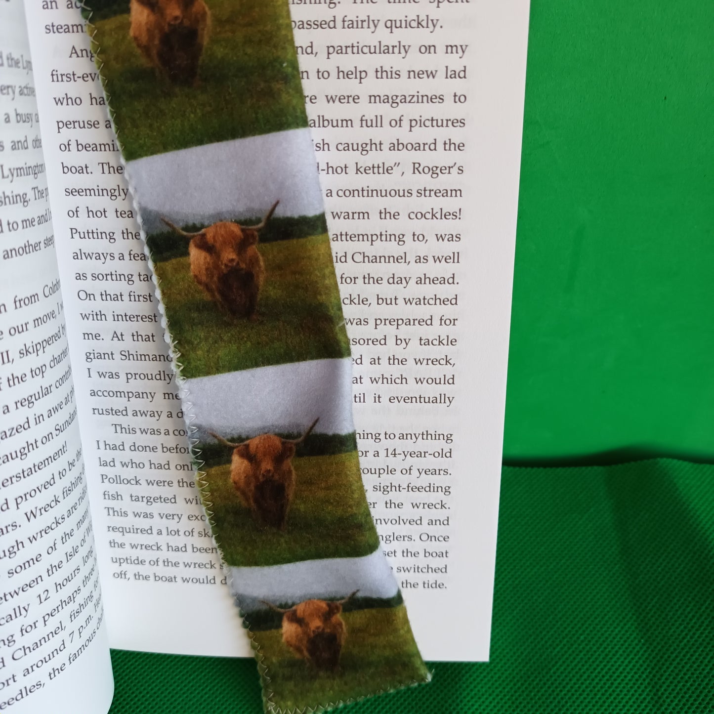 Highland Cow. Glen Feshie. bookmark.