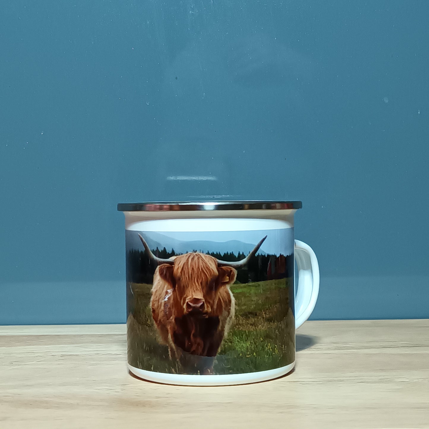 Highland cow. Glen Feshie.
