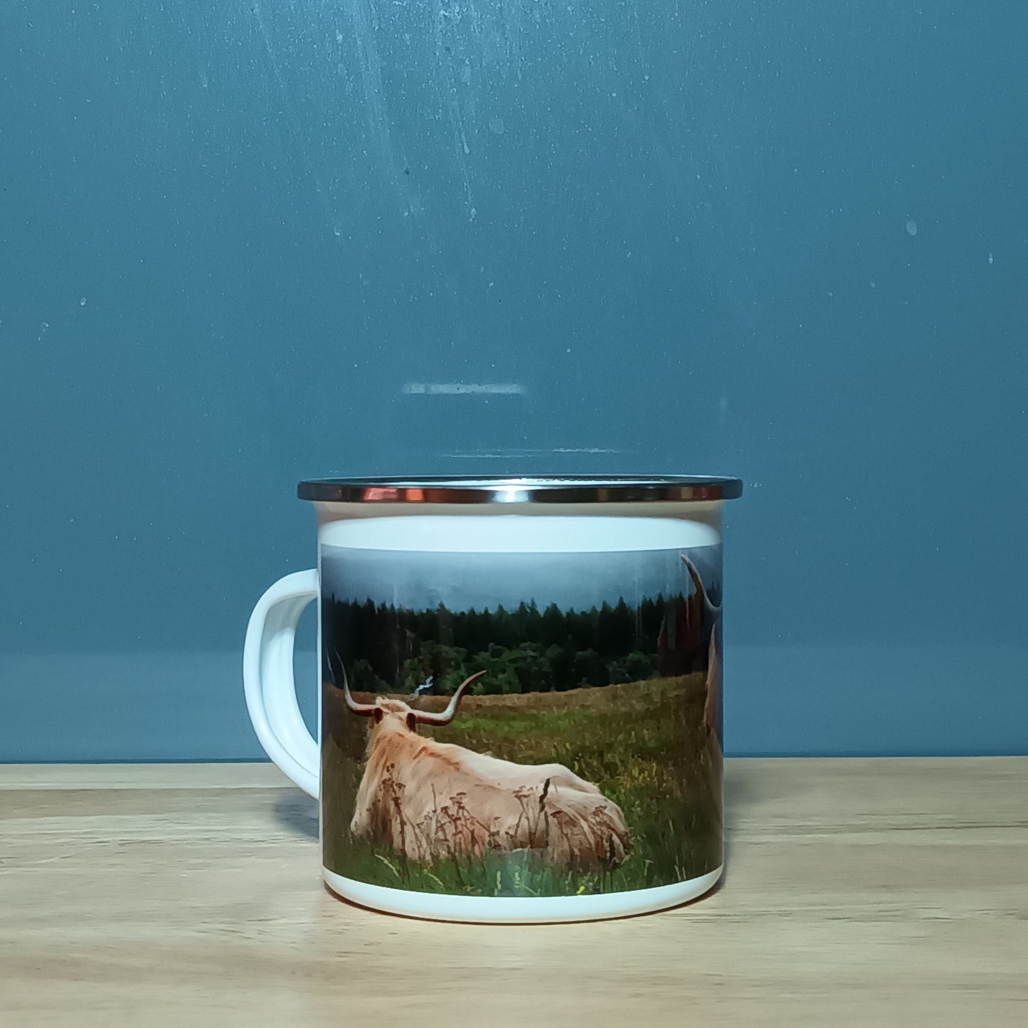 Highland Cow. Glen Feshie.