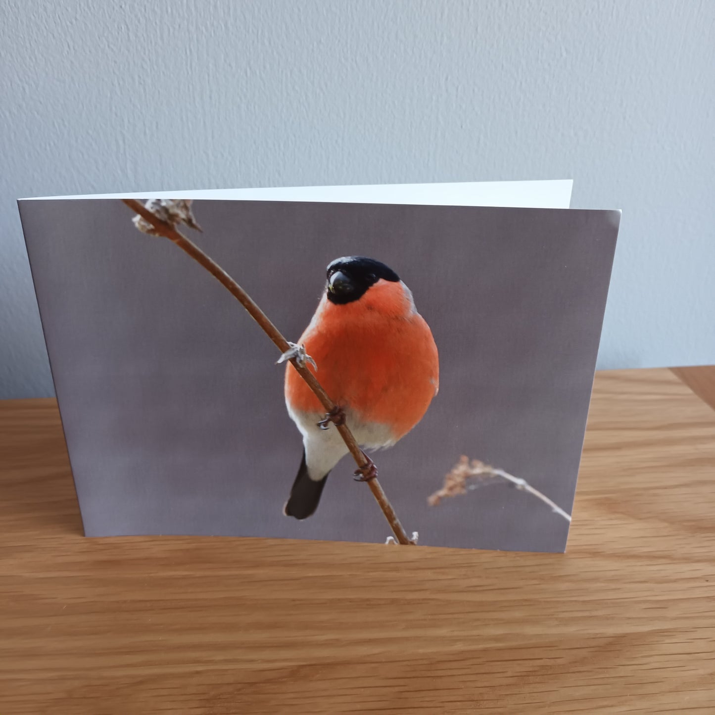 Blank Card  (Male Bullfinch)