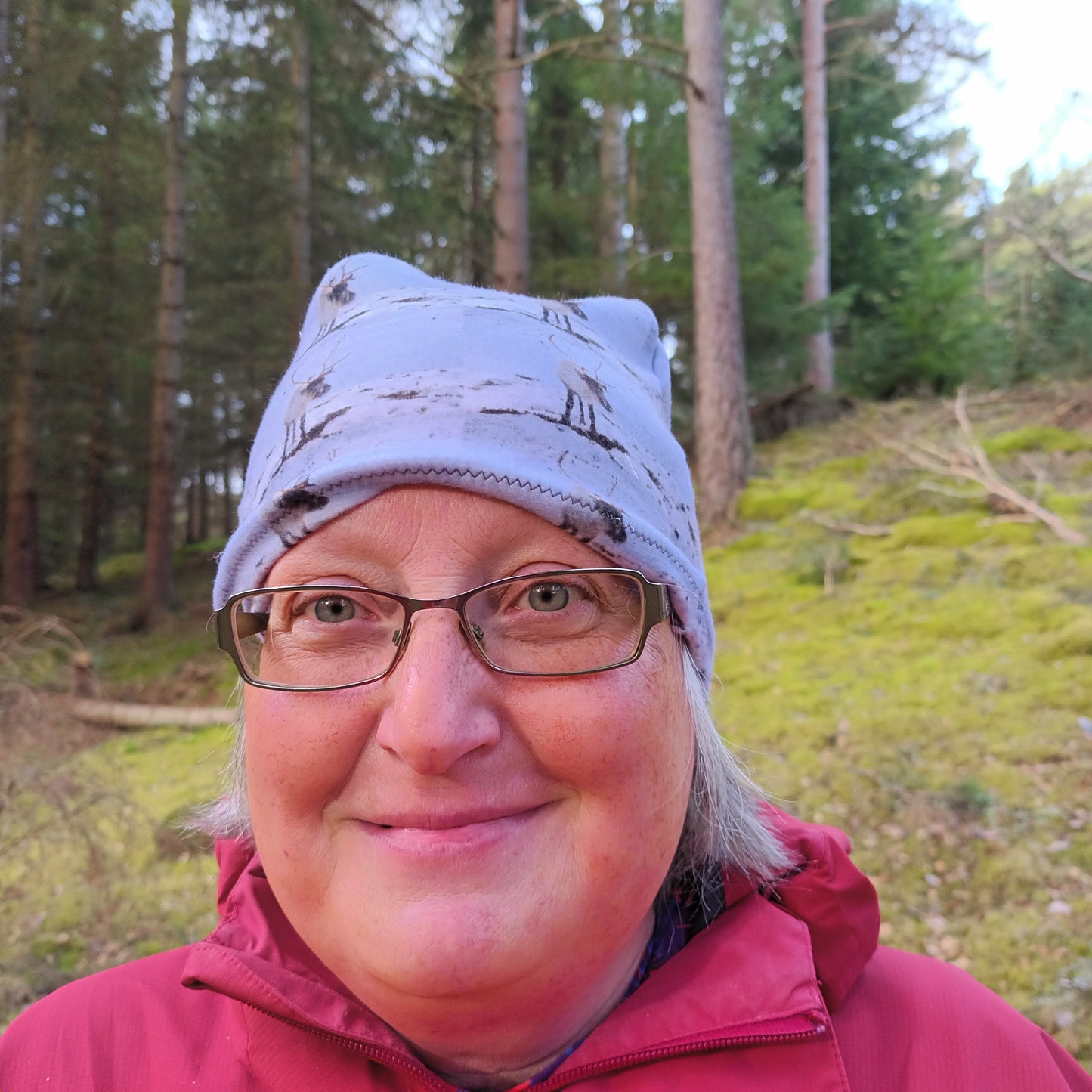 Reindeer. Cairngorms . Beanie