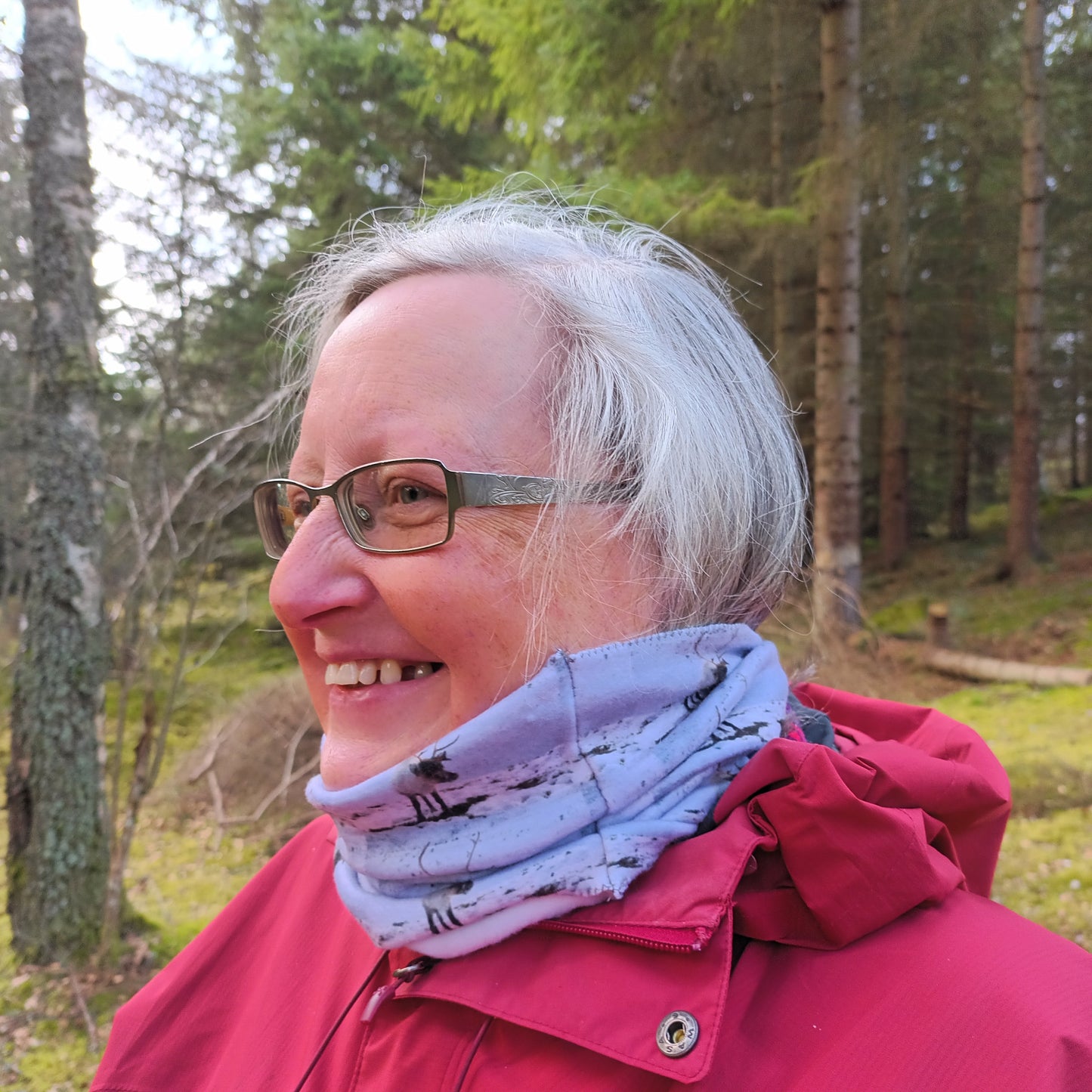 Reindeer. Cairngorms . snood