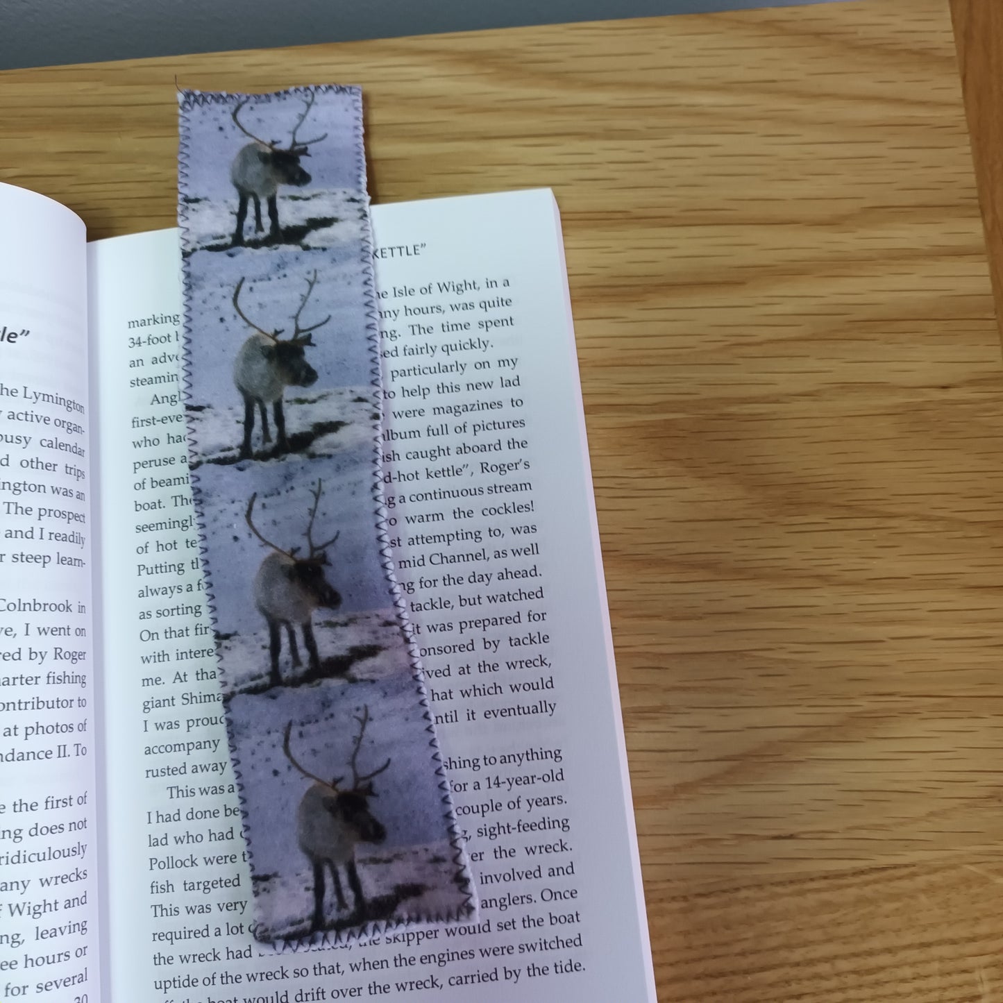 Reindeer. Cairngorms . Bookmark