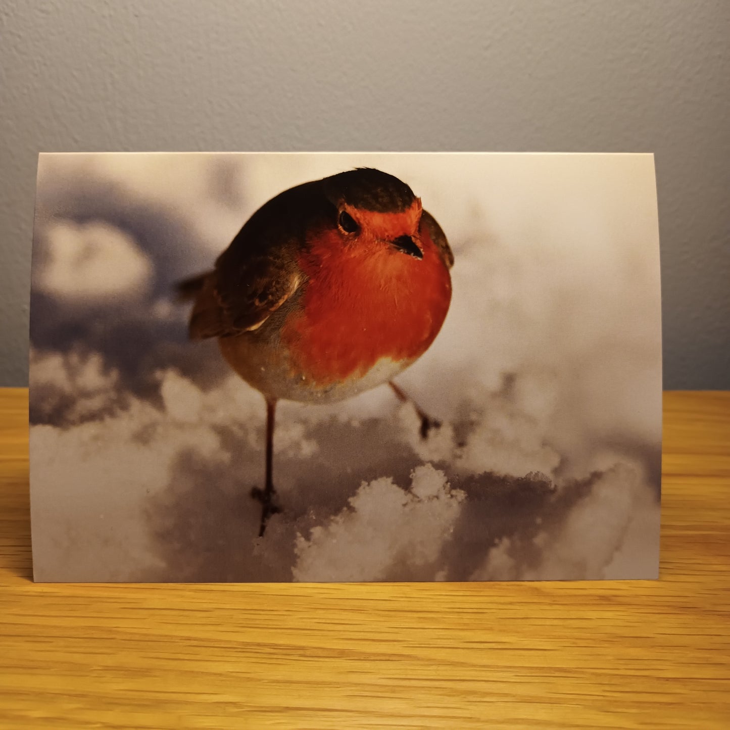 Robin, Red breast, card, snow, blank inside.