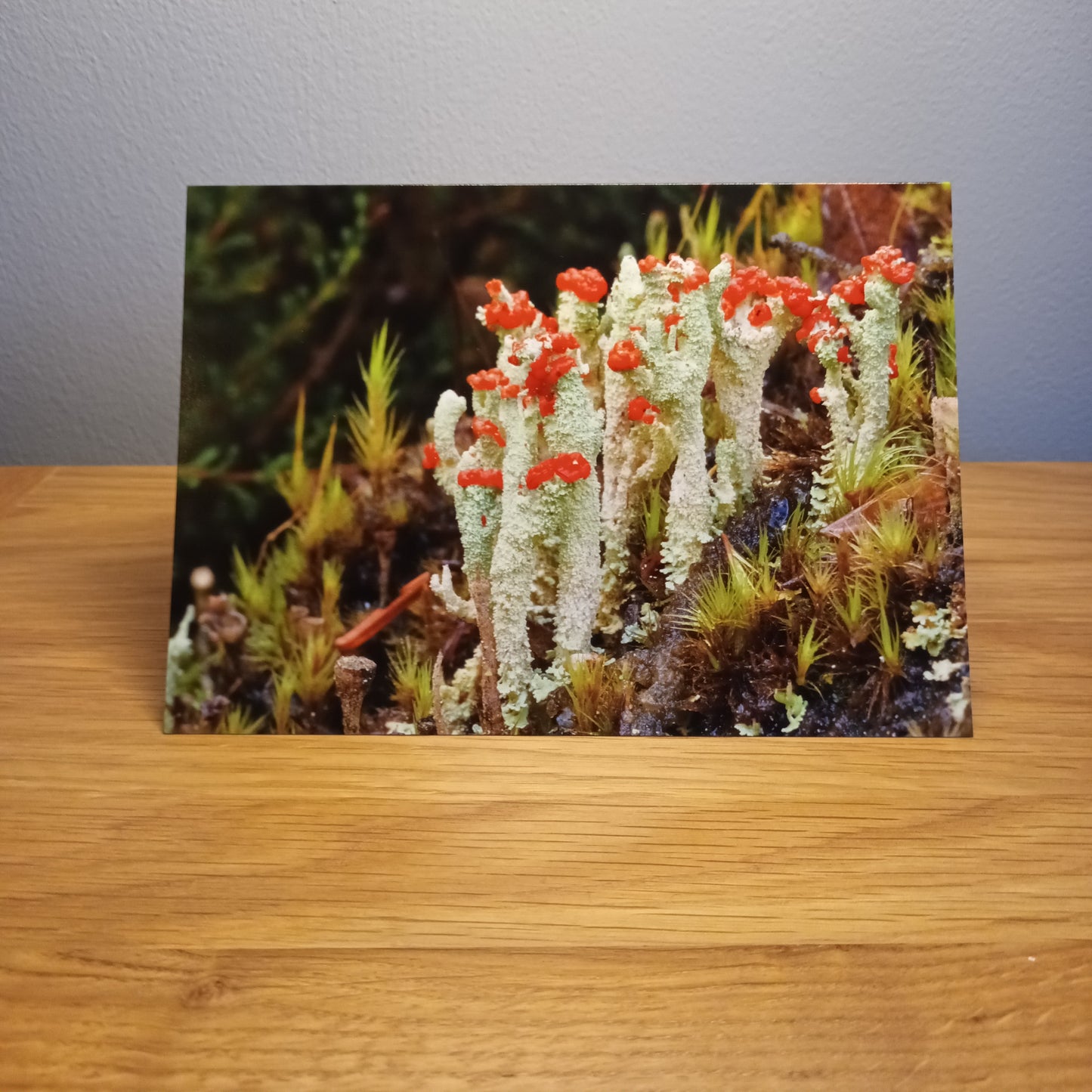 Devil's Matchsticks , Highlands,Scotland, Card