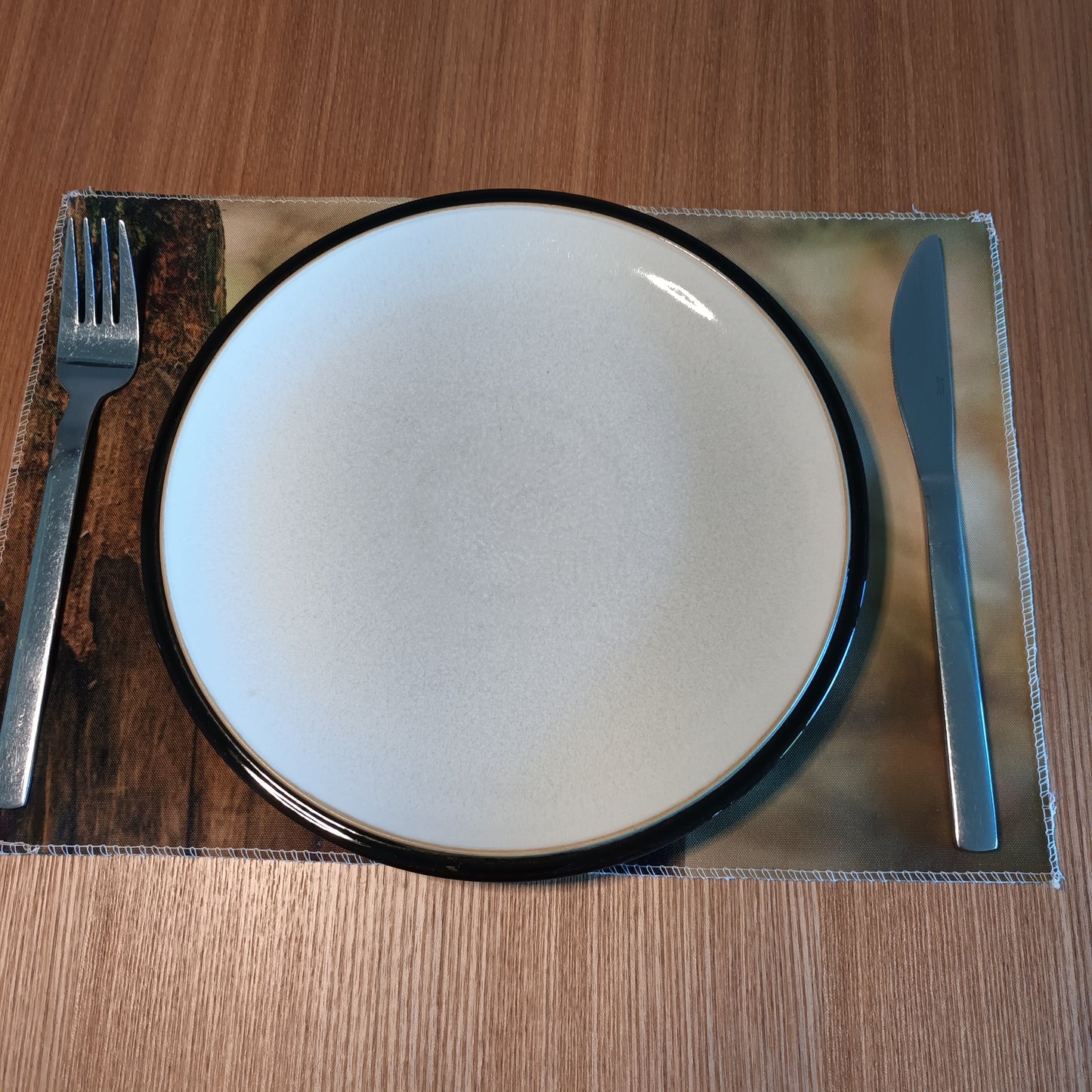 Cute Red Squirrel placemat