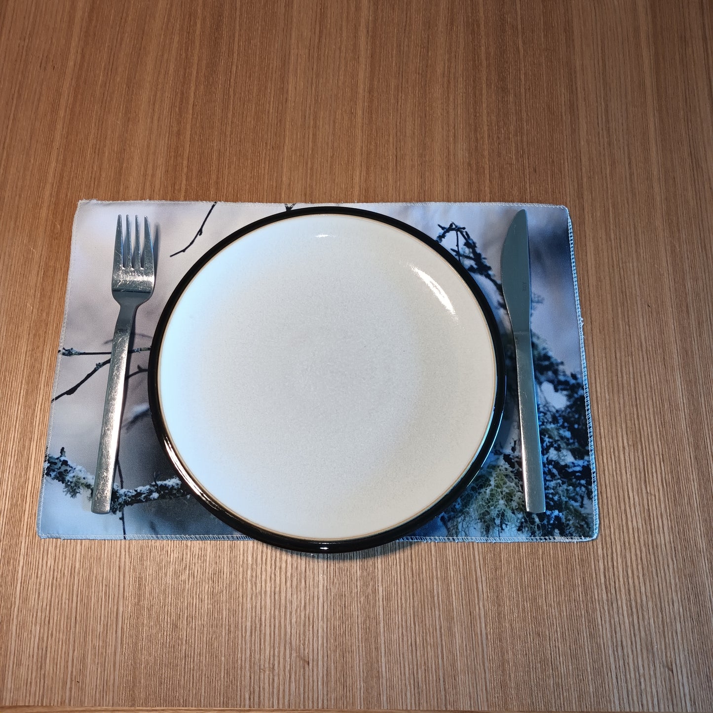 Cute Robin placemat