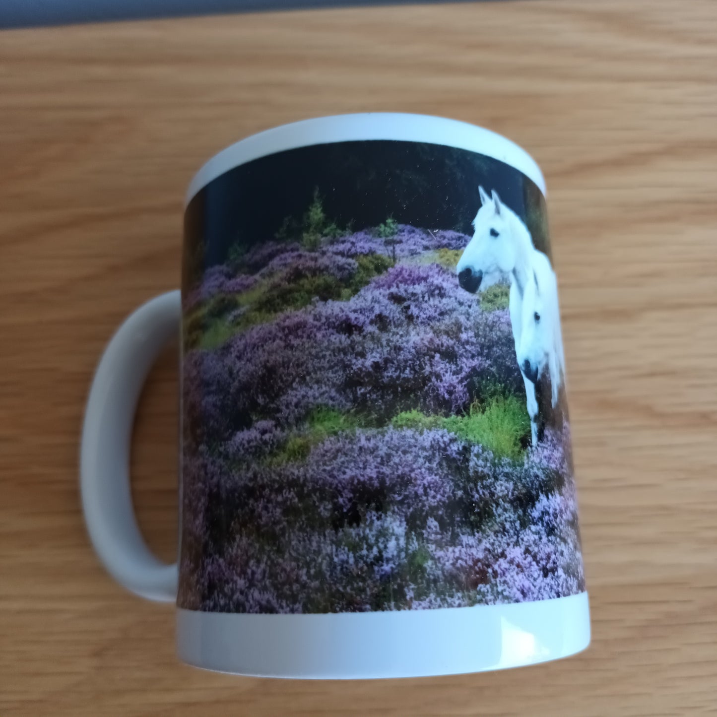 Cute Highland PoniesCeramic Mug.