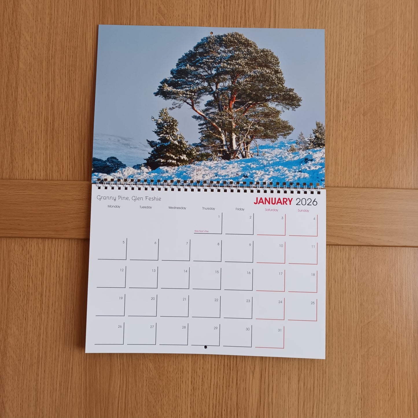 Granny Pine, Glen Feshie. January