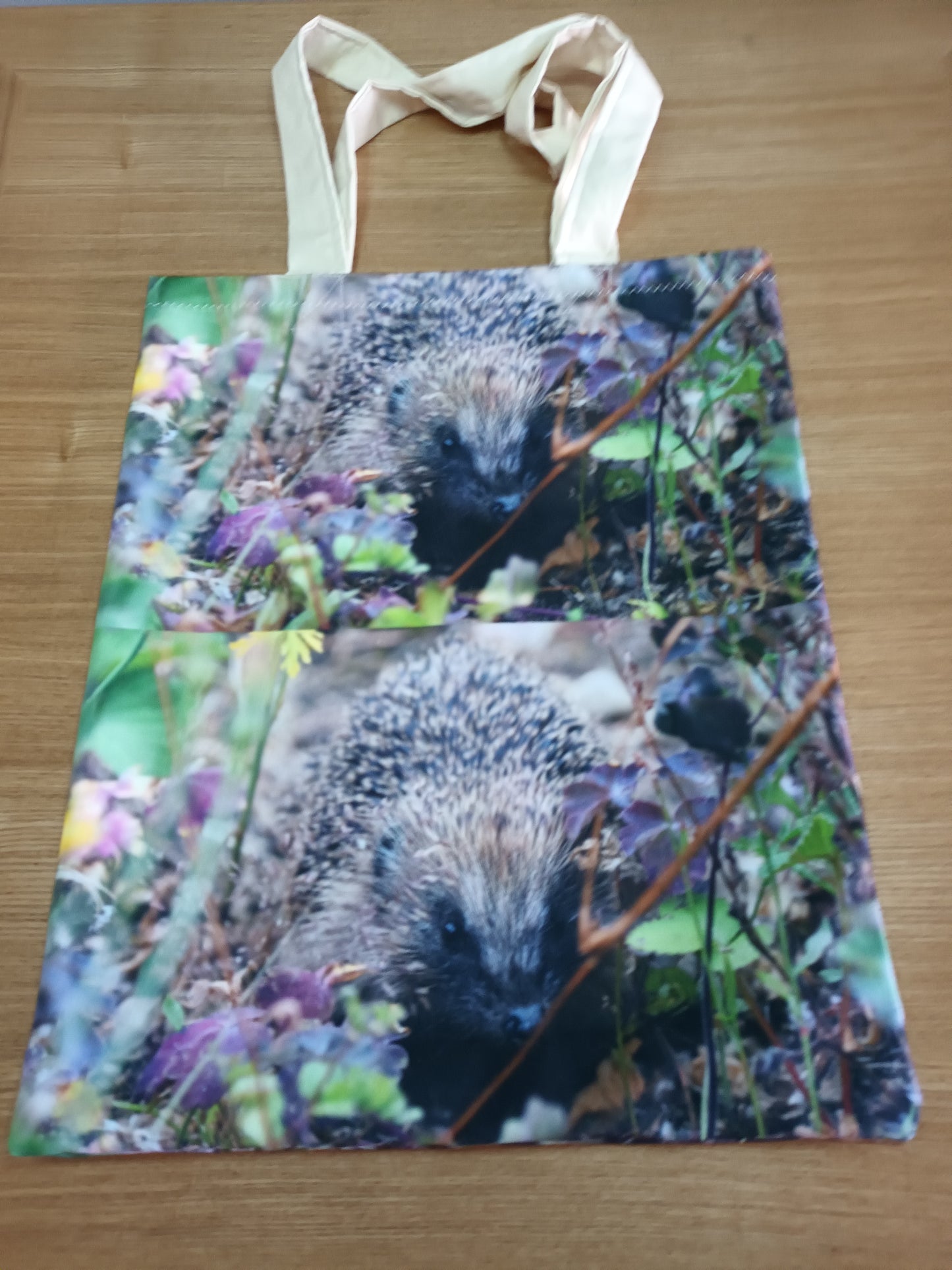 Cute Hedgehog Canvas Tote Bag (Beach Bag)