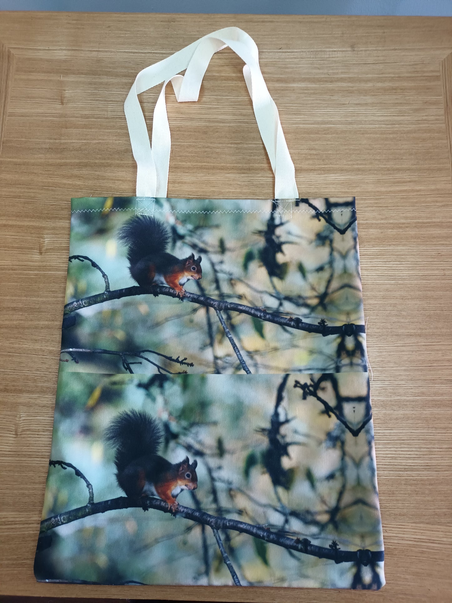 Cute Red Squirrel Canvas Tote Bag (Beach Bag)