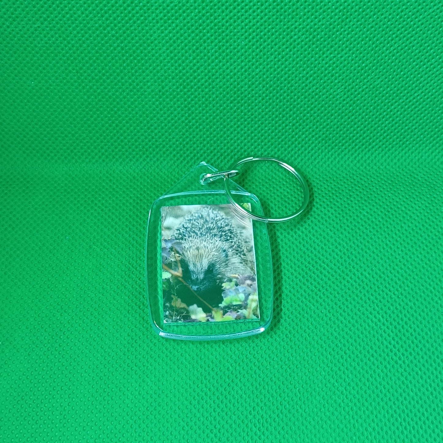 Highland Hedgehog Keyring