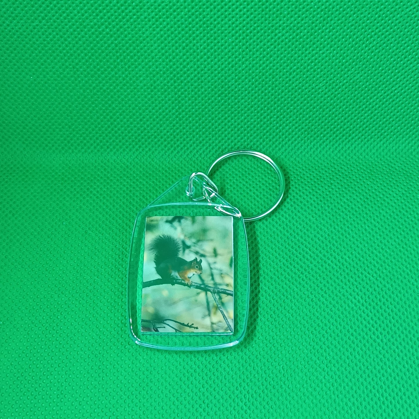 Highland Red Squirrel Keyring