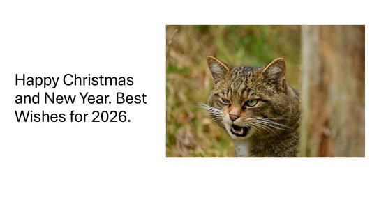 Happy Christmas and New Year