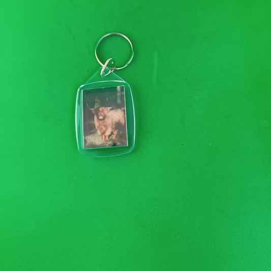 Highland Cow Keyring