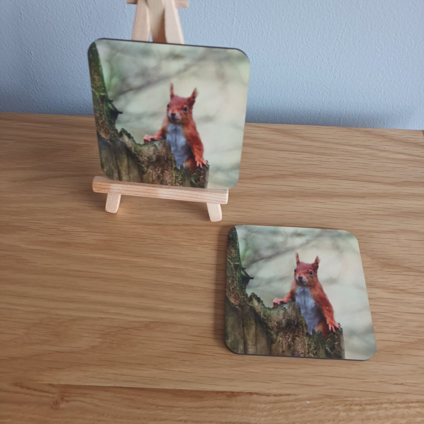 Cute Red Squirrel (looking forward) Coaster