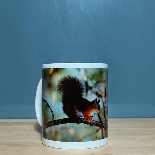 Red Squirrel.  Tree. Ceramic Mug.