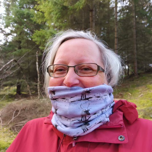 Reindeer, Cairngorms, snood