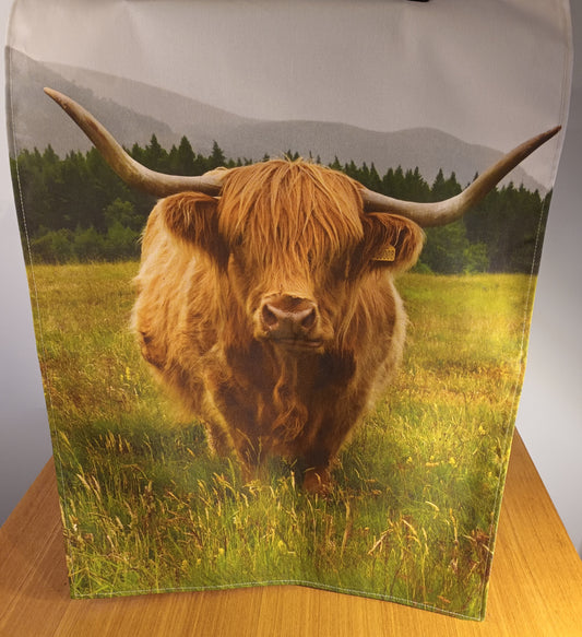 Highland Cow, Glen Feshie.Teatowel, Cotton , Eco-friendly. 