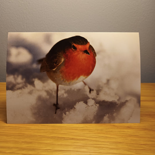 Robin, Red breast, card, snow, blank inside.