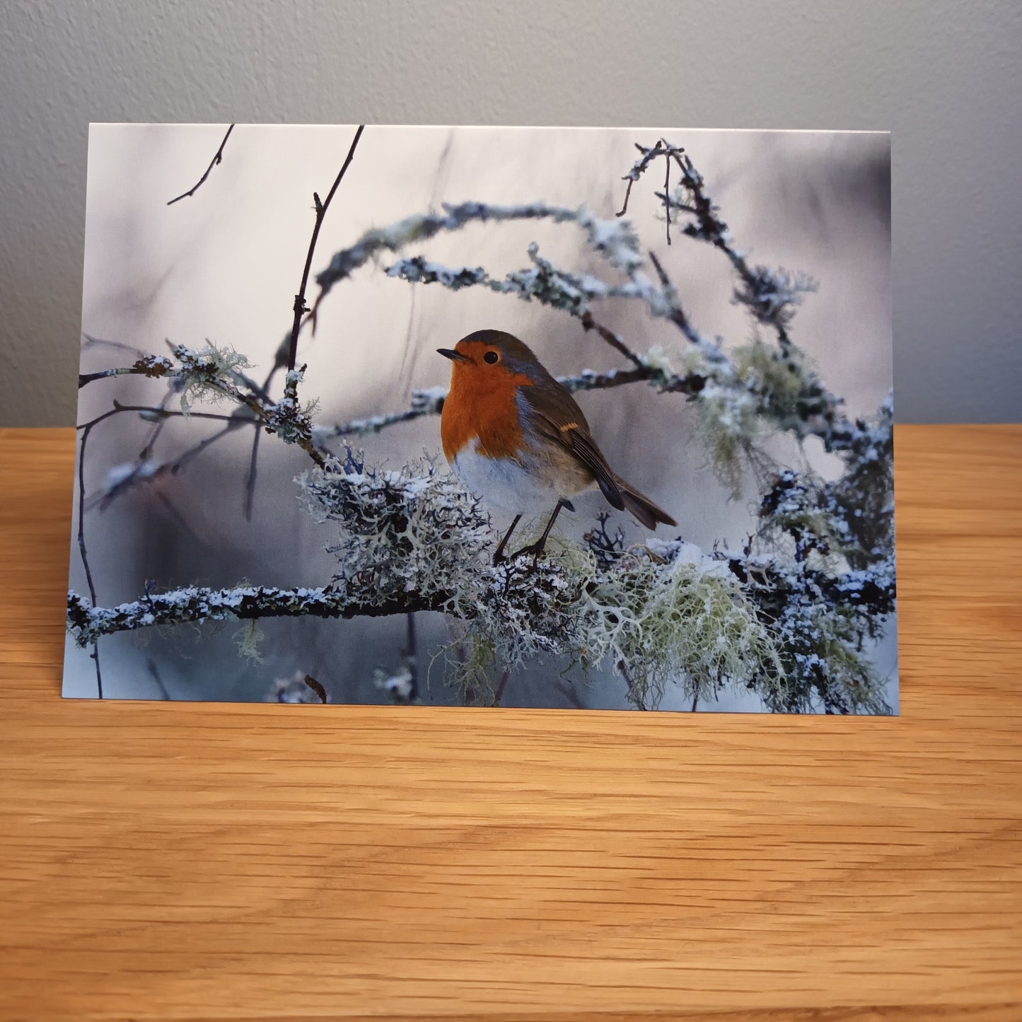 Robin Red Breast,  Card, 