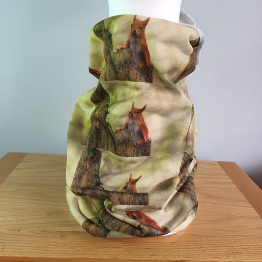Red Squirrel.  Jersey. Snood. Neck gaiter