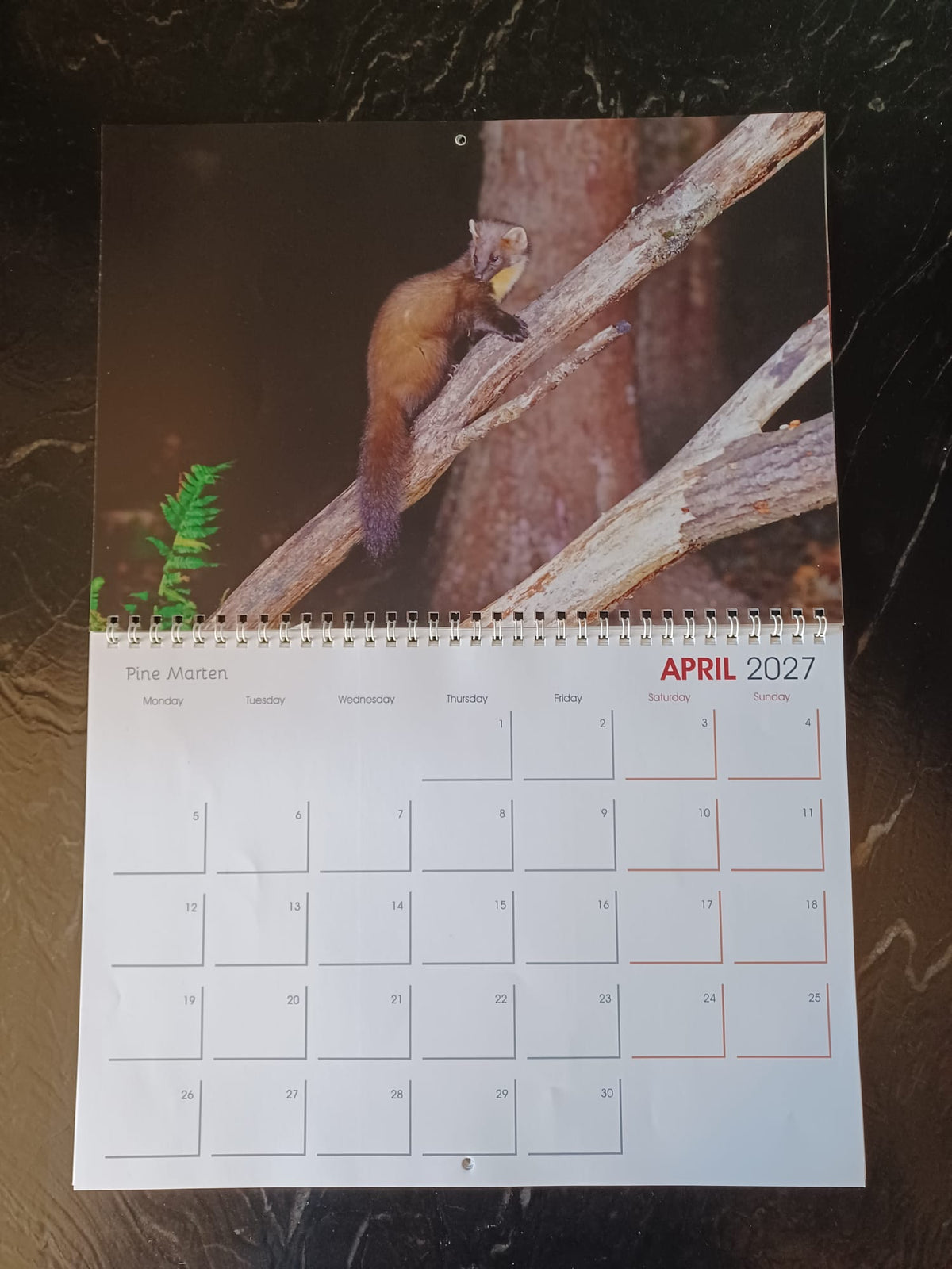 EJ's Highland Creations Premium Quality 2027 Calendar.