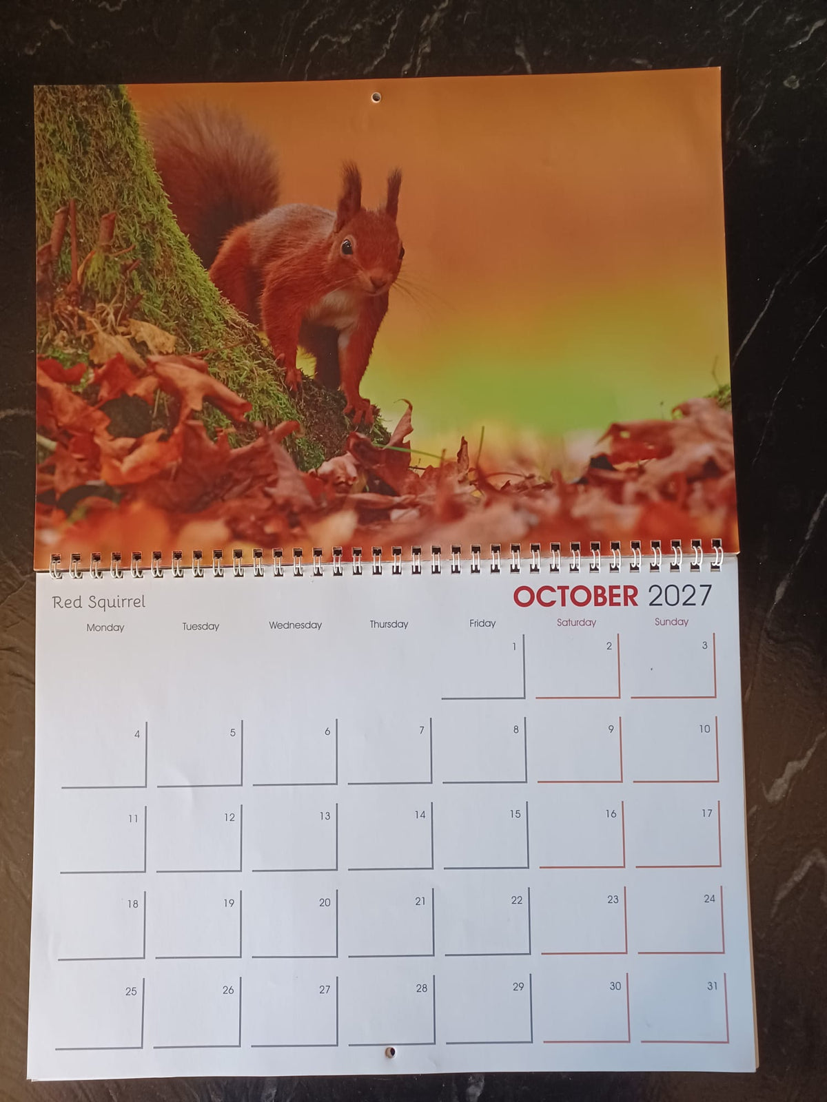 EJ's Highland Creations Premium Quality 2027 Calendar.