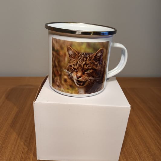 Wild Cat. Highland Scotland 