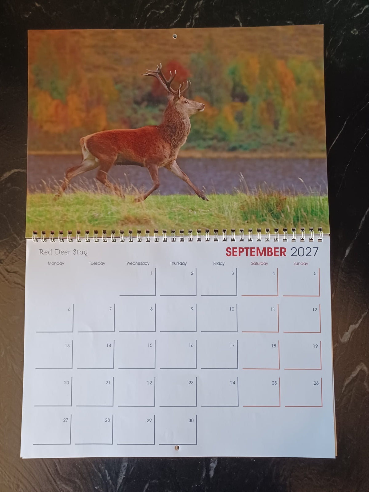 EJ's Highland Creations Premium Quality 2027 Calendar.