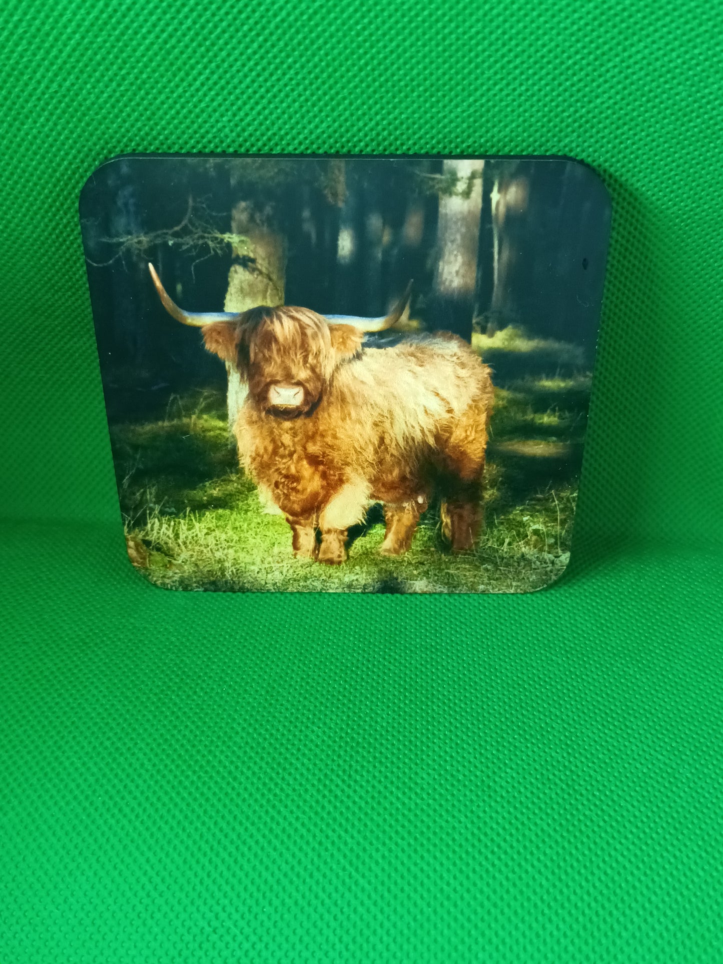 Highland Cow Coaster